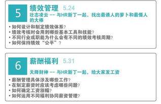 跨领域实习指南 从市场到管理咨询的多元路径与核心能力构建