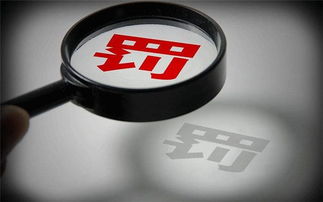 温江区专业代理记账报税服务解析 柒仟企业管理助力企业合规发展